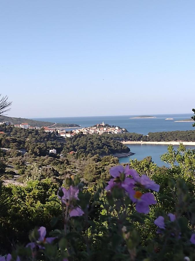 Apartmani Zmiric Primošten Extérieur photo