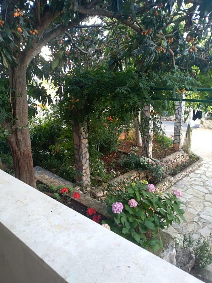 Apartmani Zmiric Primošten Extérieur photo
